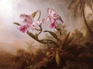 Martin Johnson Heade - Orchids And Hummingbird2
