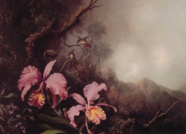 Two Orchids in a Mountain Landscape