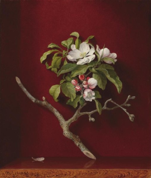 Apple Blossoms in a Corner