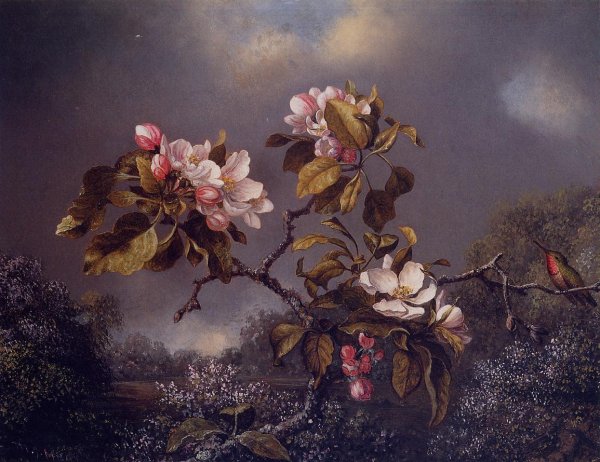 Apple Blossoms And Hummingbird