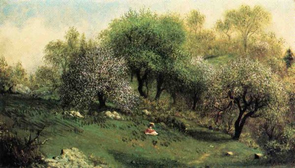 Girl On A Hillside  Apple Blossoms