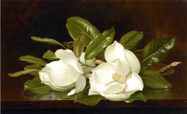 Magnolias On A Wooden Table