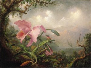 Orchid And Hummingbird Near A Mountain Waterfall