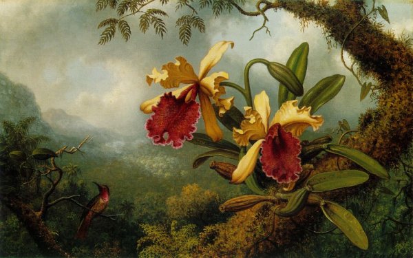 Orchids And Hummingbird