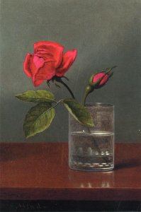 Red Rose And Bud In A Tumbler On A Shiny Table