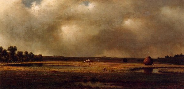 Storm Over The Marshes