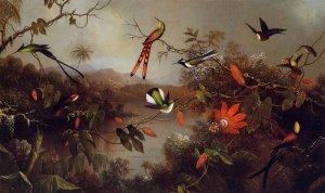 Tropical Landscape With Ten Hummingbirds