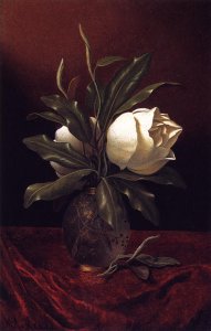 Two Magnolia Blossoms In A Glass Vase