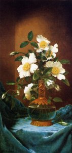 White Cherokee Roses In A Salamander Vase