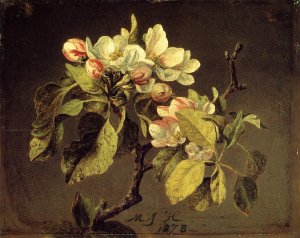 A Branch Of Apple Blossoms And Buds