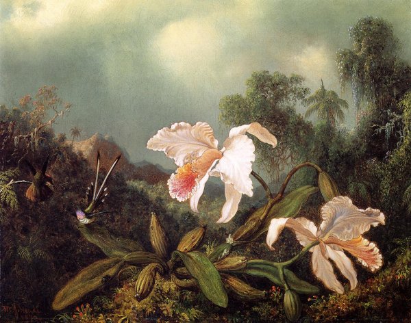 Jungle Orchids And Hummingbirds