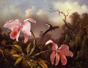 Orchids and Hummingbird 2