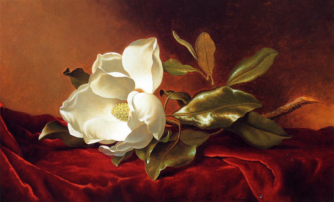 Martin Johnson Heade