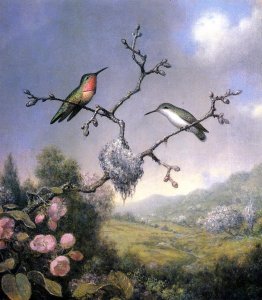 Hummingbirds And Apple Blossoms