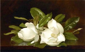 Magnolias On A Wooden Table