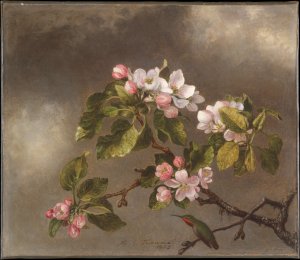 Hummingbird and Apple Blossoms