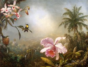 Orchids  Nesting Hummingbirds And A Butterfly